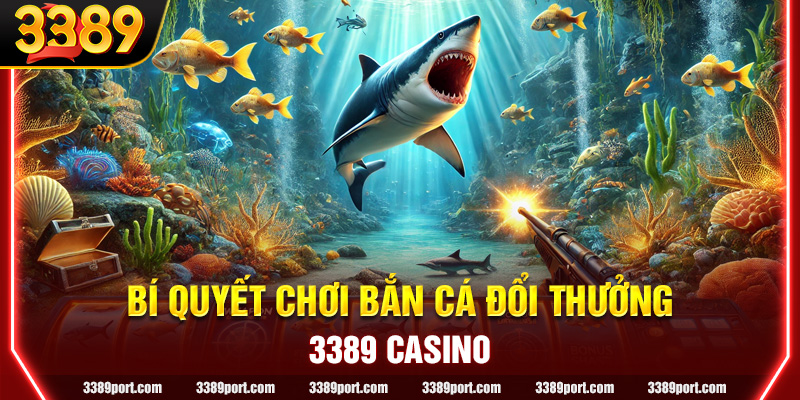Bí quyết săn cá hiệu quả dành cho người mới bắt đầu